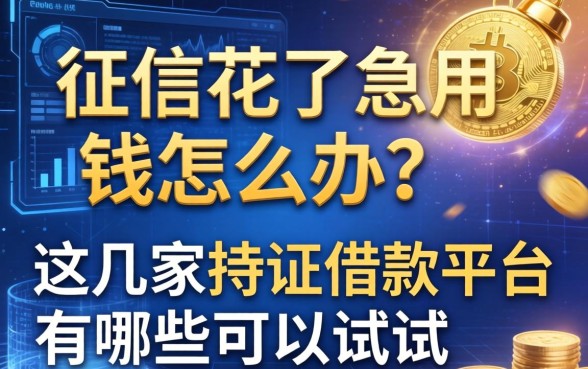 征信花了急用钱怎么办？这几家持证借款平台有哪些可以试试