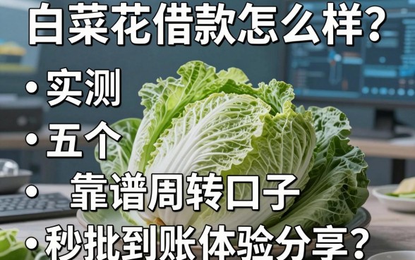 白菜花借款怎么样？实测五个靠谱周转口子，秒批到账体验分享