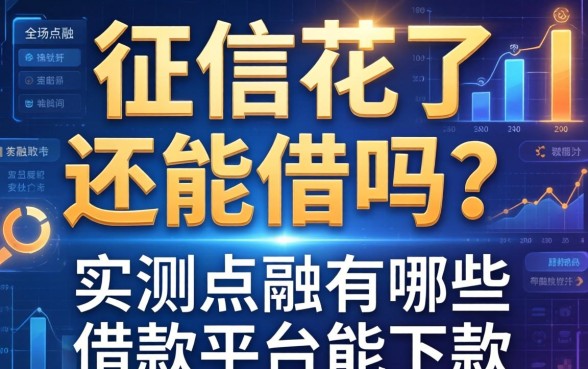 征信花了还能借吗？实测点融有哪些借款平台能下款