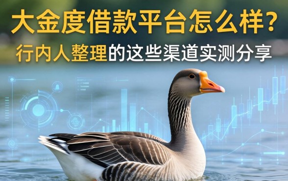 大鹅度借款平台怎么样？行内人整理的这些渠道实测分享