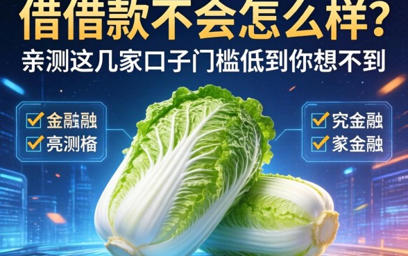白菜借款不会怎么样？亲测这几家口子门槛低到你想不到