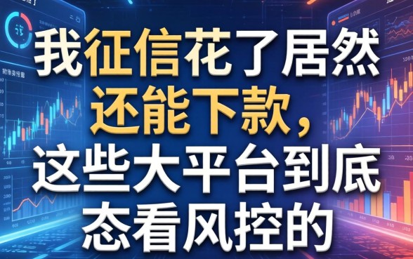 我征信花了居然还能下款，这些大平台到底怎么看风控的