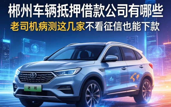 郴州车辆抵押借款公司有哪些？老司机亲测这几家不看征信也能下款
