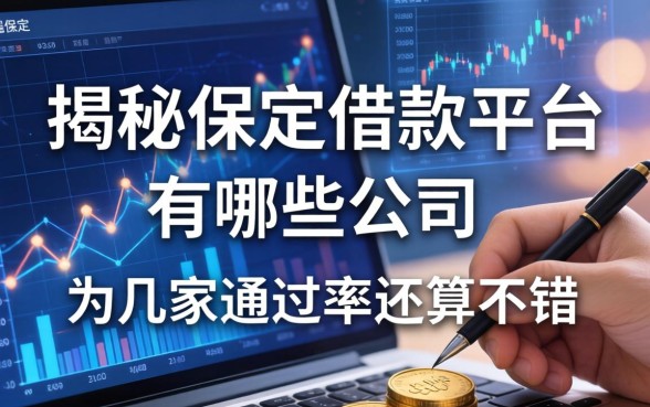 揭秘保定借款平台有哪些公司，这几家通过率还算不错
