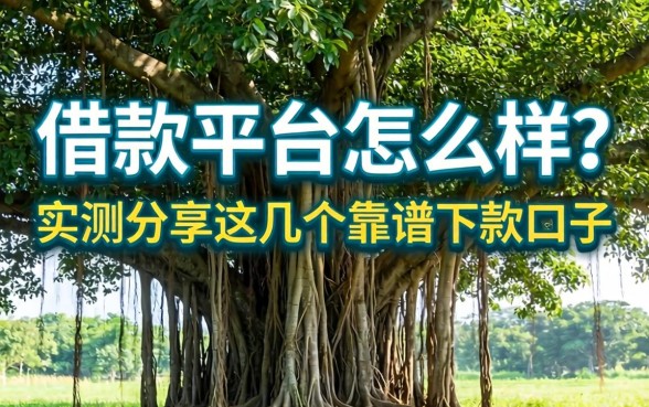 大榕树借款平台怎么样？实测分享这几个靠谱下款口子