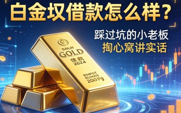 白金条借款怎么样？一个踩过坑的小老板掏心窝讲实话