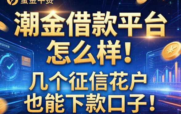 潮金这个借款平台怎么样？分享几个征信花户也能下款的口子