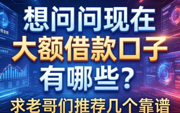想问问现在大额借款口子有哪些？求老哥们推荐几个靠谱的
