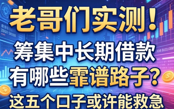老哥们实测：筹集中长期借款有哪些靠谱路子？这五个口子或许能救急