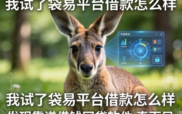 我试了袋鼠平台借款怎么样，发现靠谱借钱网贷软件的真面目