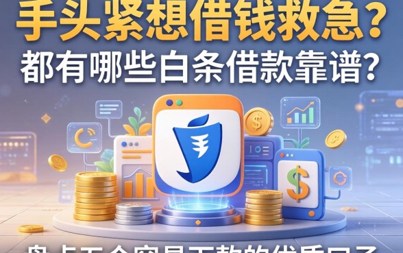 手头紧想借钱救急？都有哪些白条借款靠谱？盘点五个容易下款的优质口子