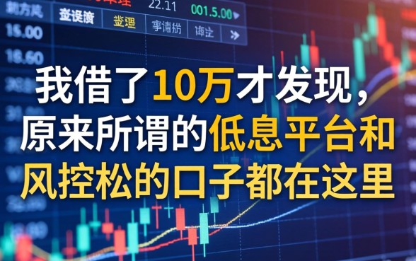 我借了10万才发现，原来所谓的低息平台和风控松的口子都在这里