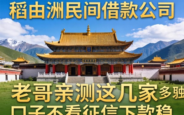 稻城县民间借款公司有哪些？老哥亲测这几家口子不看征信下款稳