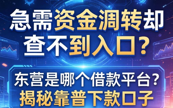急需资金周转却查不到入口？东营是哪个借款平台？揭秘靠谱下款口子