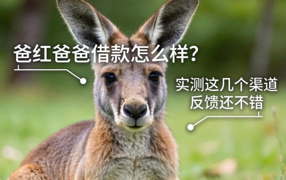袋鼠爸爸借款怎么样？实测这几个渠道反馈还不错
