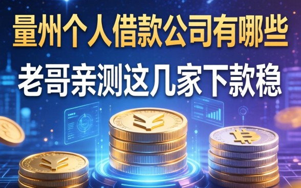 定州个人借款公司有哪些？老哥亲测这几家下款稳