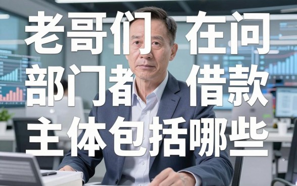 老哥们都在问部门借款主体包括哪些，其实这几个平台根本不纠结这些！