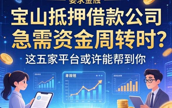 宝山抵押借款公司有哪些？急需资金周转时，这五家平台或许能帮到你