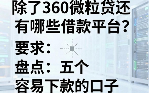 除了360微粒贷还有哪些借款平台？盘点五个容易下款的口子