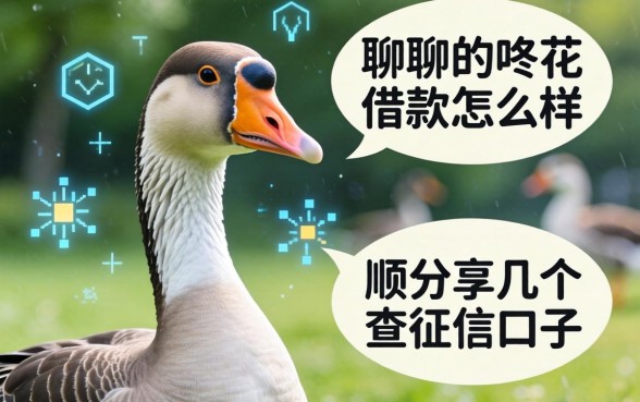 聊聊鹅咚花借款怎么样，顺便分享几个不查征信的口子