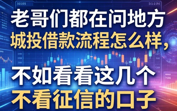 老哥们都在问地方城投借款流程怎么样,不如看看这几个不看征信的口子