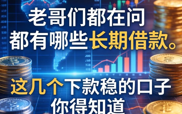 老哥们都在问都有哪些长期借款，这几个下款稳的口子你得知道