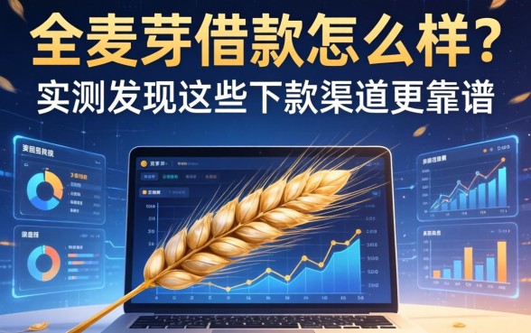大麦芽借款怎么样？实测发现这些下款渠道更靠谱