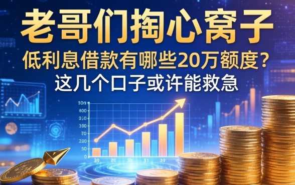 老哥们掏心窝子：低利息借款有哪些20万额度？这几个口子或许能救急
