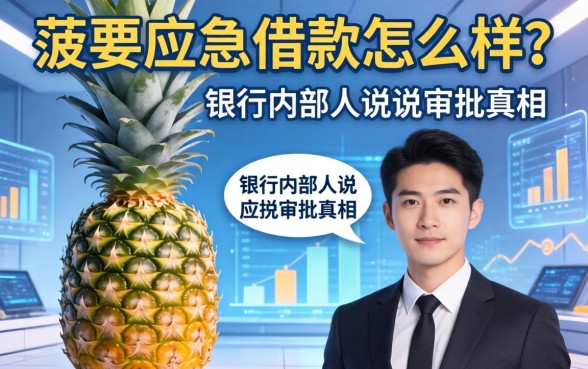 菠萝应急借款怎么样？银行内部人说说审批真相