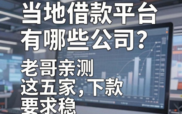 当地借款平台有哪些公司？老哥亲测这五家下款稳
