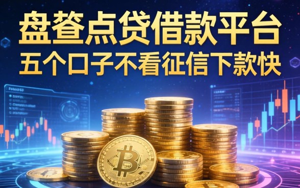盘点点贷借款平台有哪些公司，这五个口子不看征信下款快