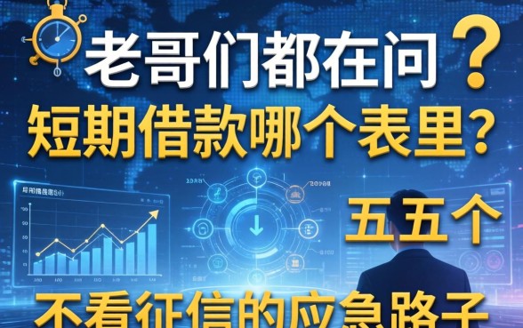 老哥们都在问短期借款在哪个表里？分享五个不看征信的应急路子
