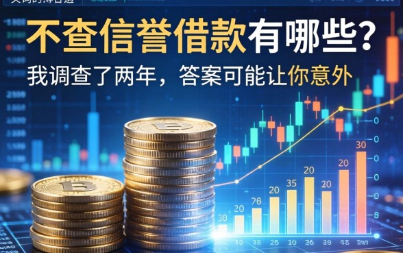 不查信誉的借款有哪些？我调查了两年，答案可能让你意外
