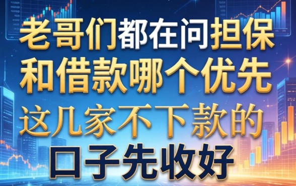 老哥们都在问担保和借款哪个优先，这几家不下款的口子先收好