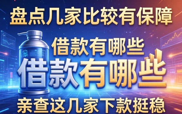盘点几家比较有保障的借款有哪些，亲测这几家下款挺稳