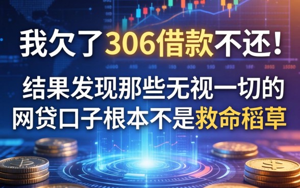 我欠了306借款不还，结果发现那些无视一切的网贷口子根本不是救命稻草