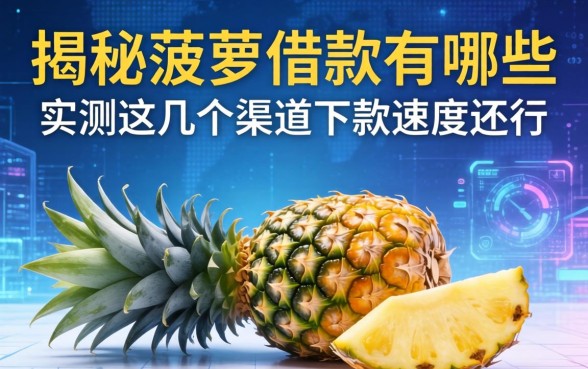 揭秘菠萝借款有哪些，实测这几个渠道下款速度还行