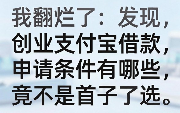 我翻烂了创业借款申请条件有哪些,发现支付宝快贷轻松借口子竟不是首选