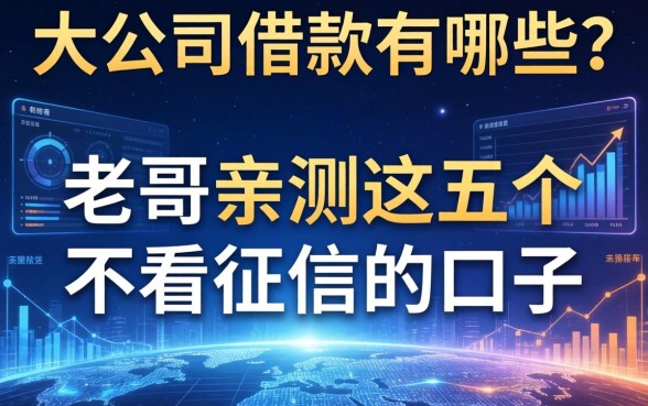 大公司借款有哪些？老哥亲测这五个不看征信的口子