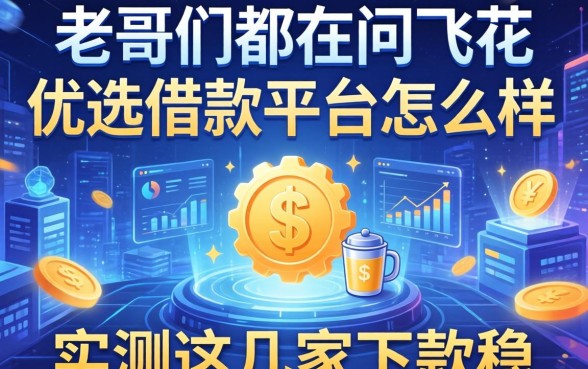 老哥们都在问飞花优选借款平台怎么样，实测这几家下款稳
