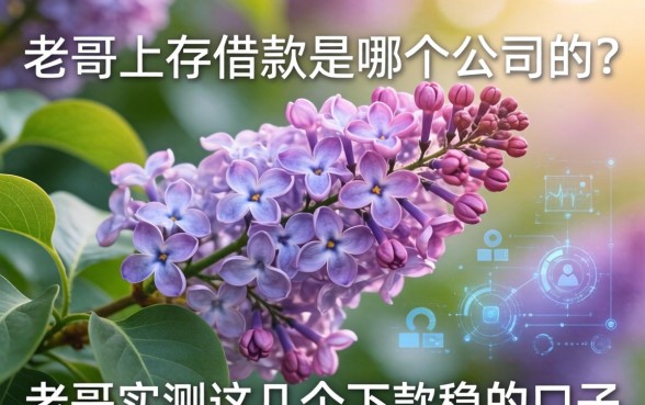 丁香花借款是哪个公司的？老哥实测这几个下款稳的口子