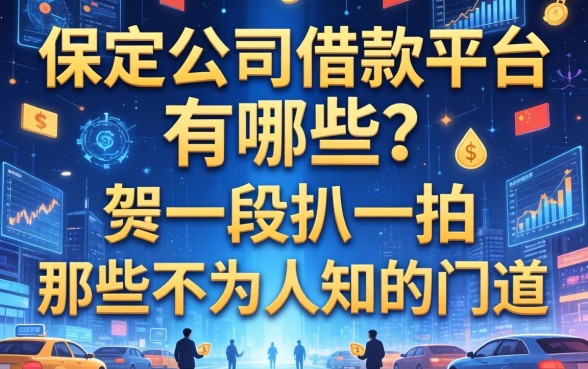 保定公司借款平台有哪些？我给你扒一扒那些不为人知的门道