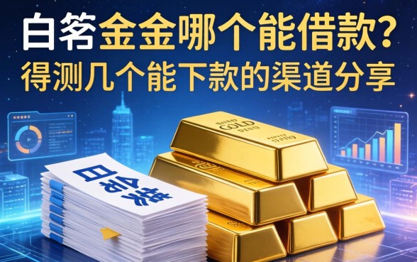 白条金条哪个能借款？实测几个能下款的渠道分享