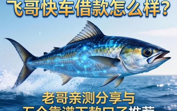 飞鱼快车借款怎么样？老哥亲测分享与五个靠谱下款口子推荐