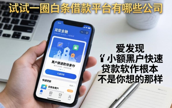 我试了一圈白条借款平台有哪些公司，发现手机小额黑户快速贷款软件根本不是你想的那样