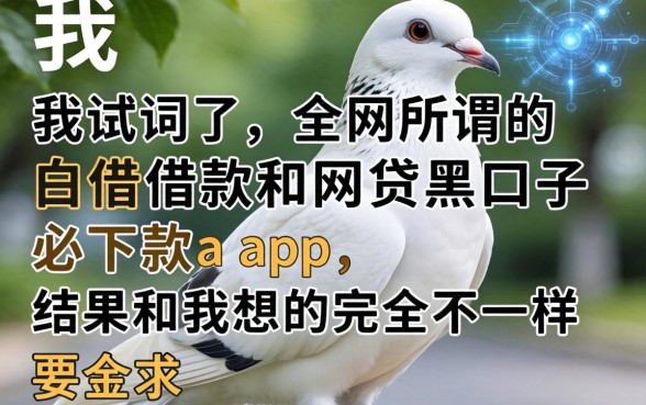 我试了全网所谓的白鸽借款和网贷黑口子必下款app，结果和我想的完全不一样