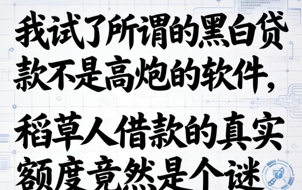 我试了所谓的黑白贷款不是高炮的软件，发现稻草人借款的真实额度竟然是个谜