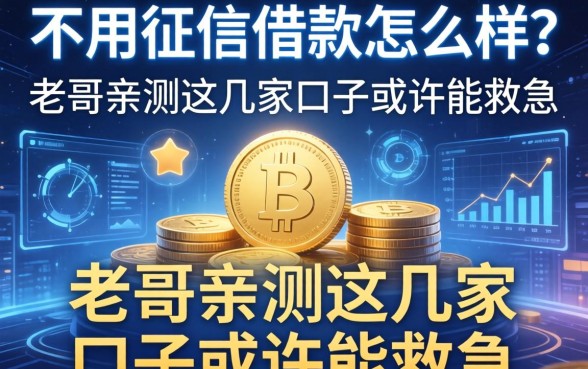 不用征信借款怎么样？老哥亲测这几家口子或许能救急
