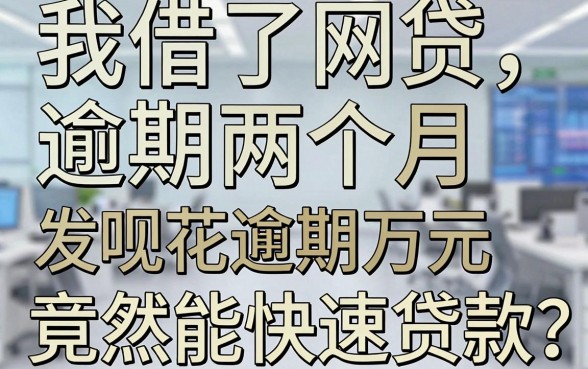 我借了网贷逾期两个月，发现花呗逾期万元竟然还能快速贷款