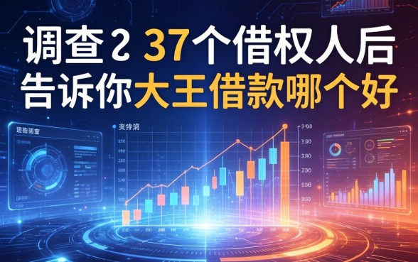 调查了37个借款人后，告诉你大王借款哪个好